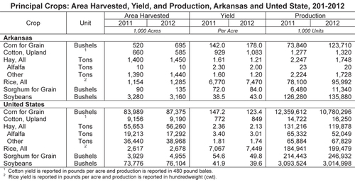 NO LONGER THE KING  Walkin’ in high cotton’ is all but forgotten as corn and soybeans evolve into top crops