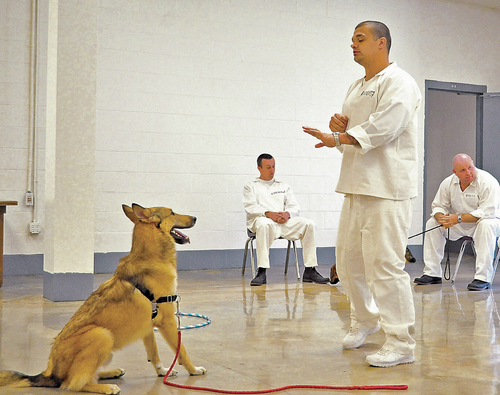SECOND CHANCES Paws in Prison program benefits dogs, inmates