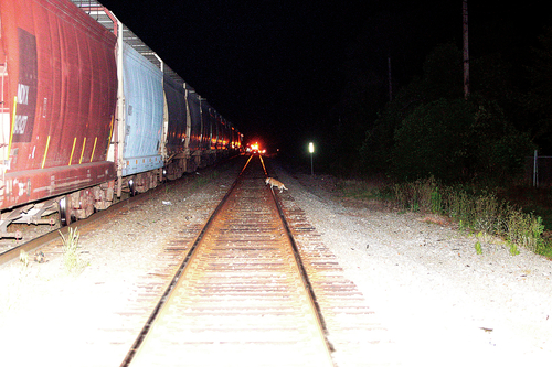 Authorities investigate possible fatal accident on train tracks