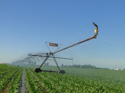 Soggy farmland dries out; corn irrigation begins; winter wheat harvest close