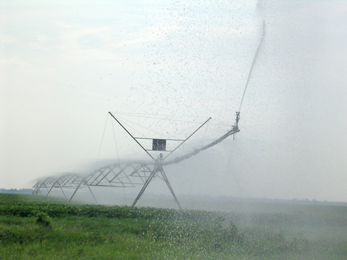 Heat, lack of rain has farmers, ranchers coping with the D’ word