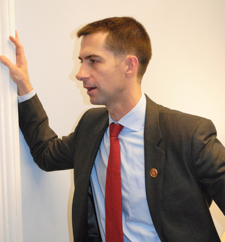 Cotton primed to announce Senate bid