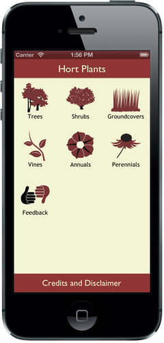 Rice Expo offers sneak preview of apps in development