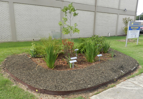Liberty Utilities installs rain garden