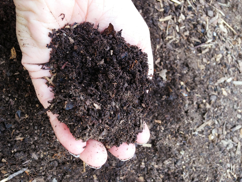 Composting subtracts from your waste to add to garden