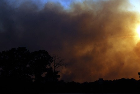 Wildfire burns more than 500 acres in Drew County