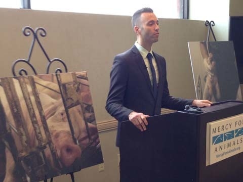 Group alleges animal abuse by Walmart supplier