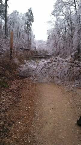 Arkansas Forestry Commission assists in storm cleanup