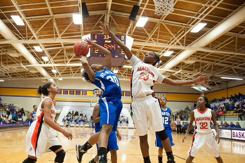 Lady Dogs settle for second
