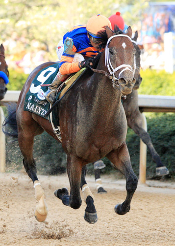 Overanalyze chalks up win