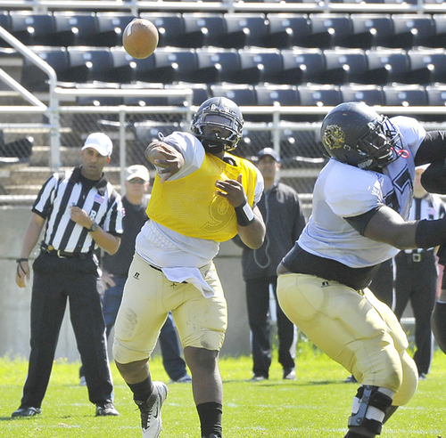 Golden Lions miss Anderson