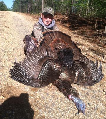 Turkey Hunt