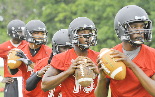Quarterback depth: Golden Lions stock up on backups for Anderson