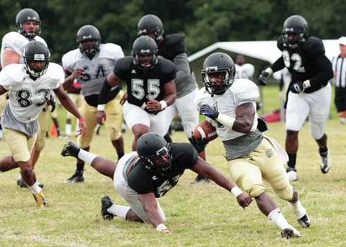 Lions try to ride wave to more glory