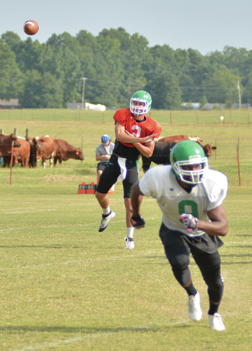 Morrison named starting QB for UAM