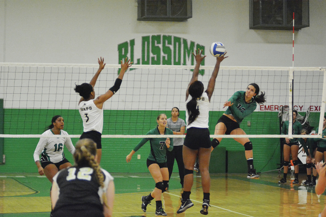 Clean Sweep: Blossoms open home slate downing Lady Lions