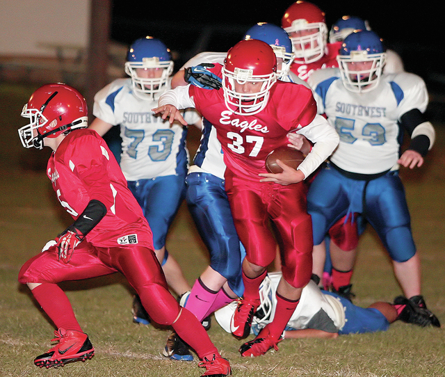 Ridgway wins AACS state championship