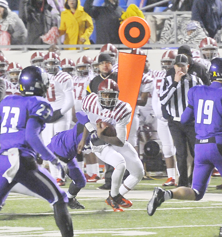 So Close, Yet Again: Zebras’ title run ends 7 points, half-yard short