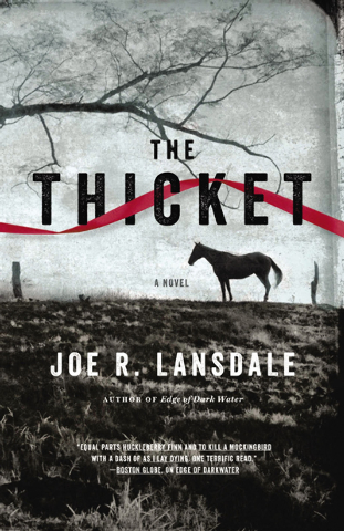 Book Review – The Thicket’