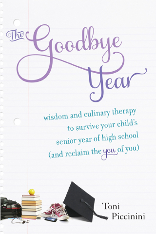 Book Review – The Goodbye Year’