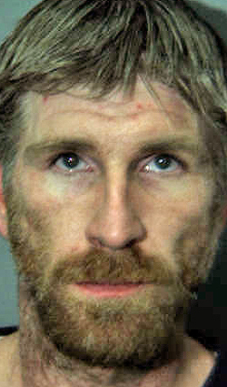 Reported burglary in progress leads to arrest