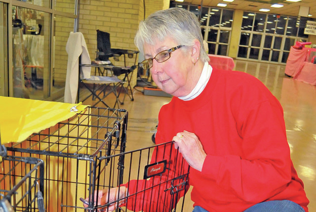 Dog show this weekend