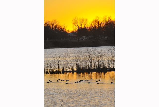 Winter Sunset