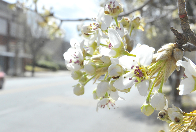 Spring has Sprung