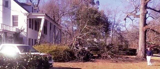 Tree falls in front of house