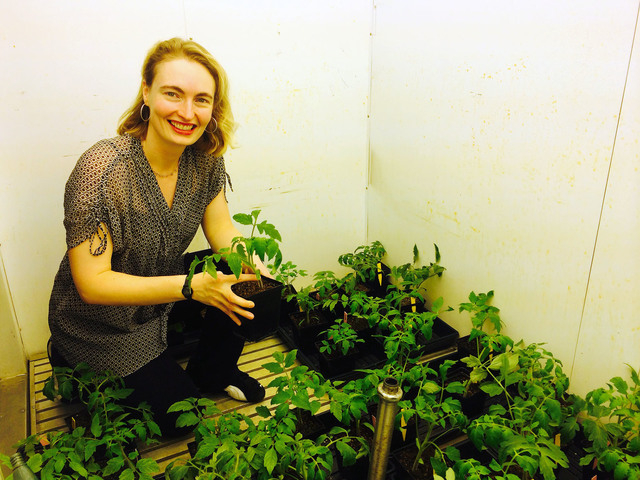 Plant stress research aims to increase productivity