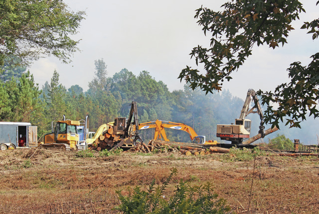 Road construction for new pellet plant underway