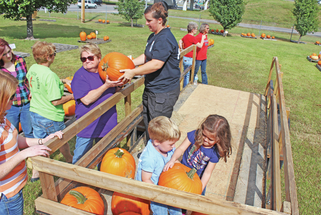 Pumpkin Patch