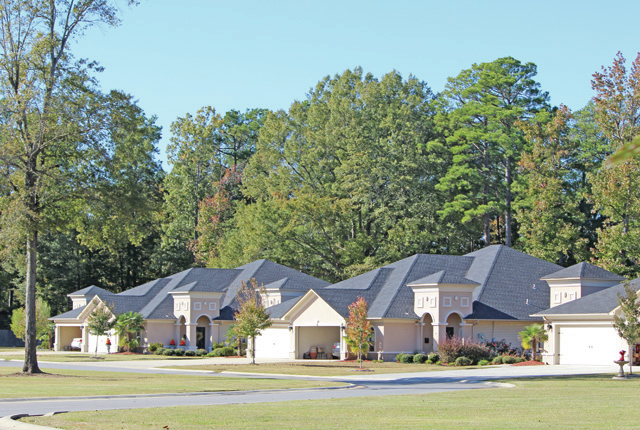 Gated subdivision set for auction