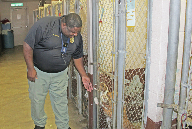 Animal shelter project to benefit people, dogs
