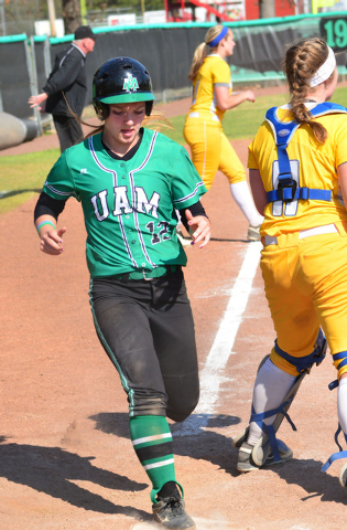 Weevils take key series