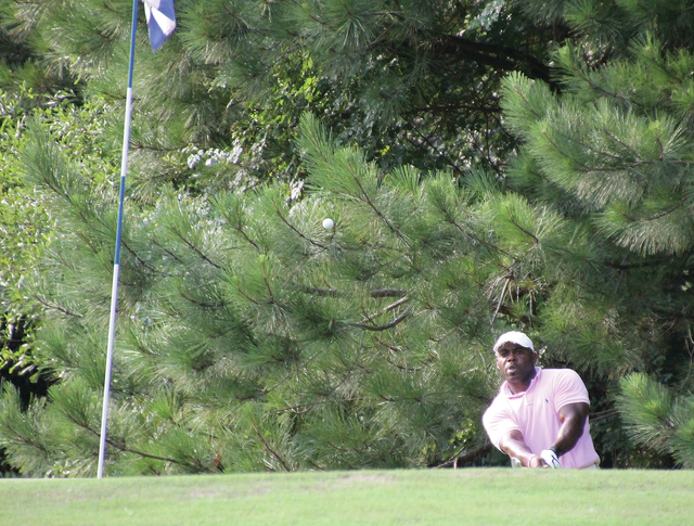 Atkinson wins city championship in playoff