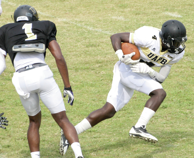 UAPB backfield restocked, but with little experience