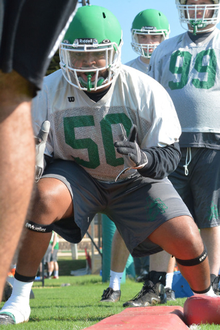 New level of focus for Boll Weevils