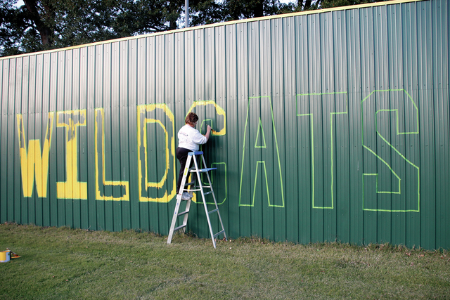 Wildcats’ in the Outfield