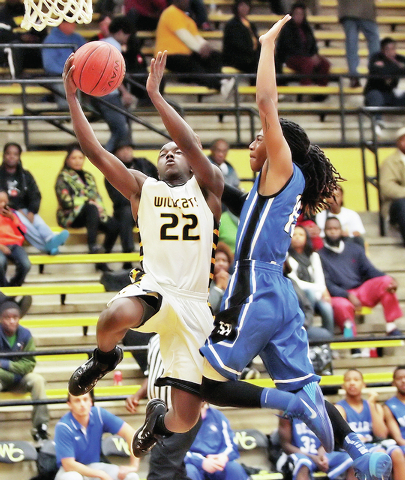 Wildcats bounce back at home