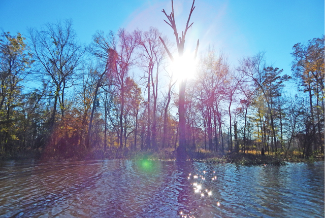 Launching Point: World’s longest bayou begins with new Pine Bluff water trail