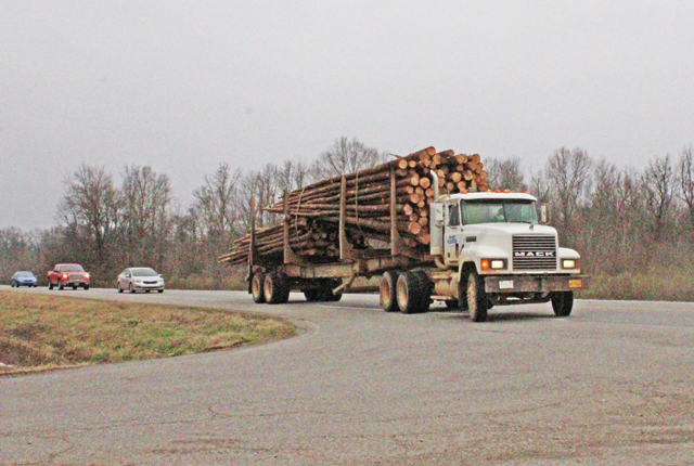 Unsafe Cargo? Log truck routes through city examined