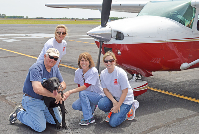 Air Bud  Black lab flies high to rescue facility