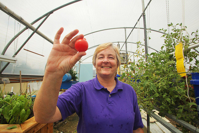 Aquaponics offers opportunity for gardeners to raise fish, fertilize plants