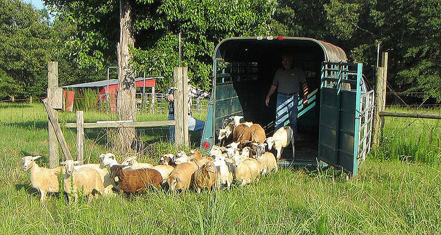Biosecurity should be at top of to-do list on farm