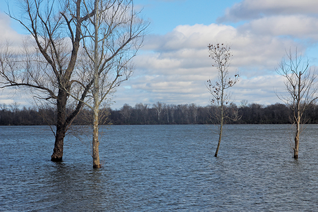 Arkansas River floods; officials expect crest later in week