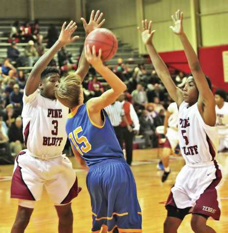 Zebras rattle Yellowjackets