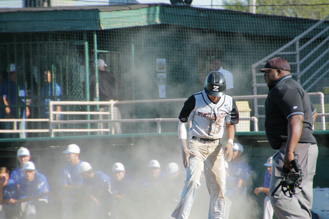 Hornets get best of Zebras
