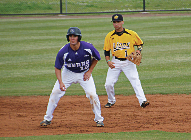 Bears blow out reeling Golden Lions