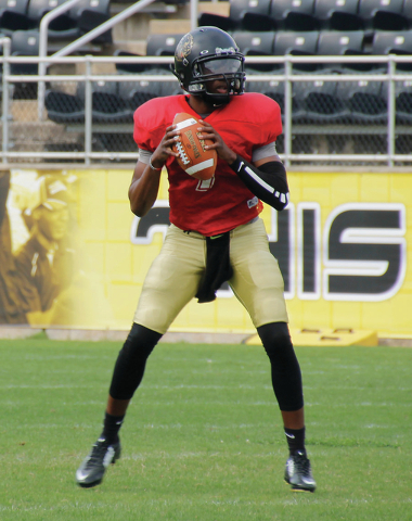 UAPB quarterbacks hope to stand out in spring game